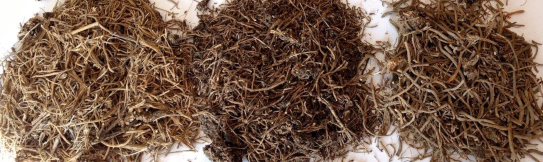 Valerian dried 